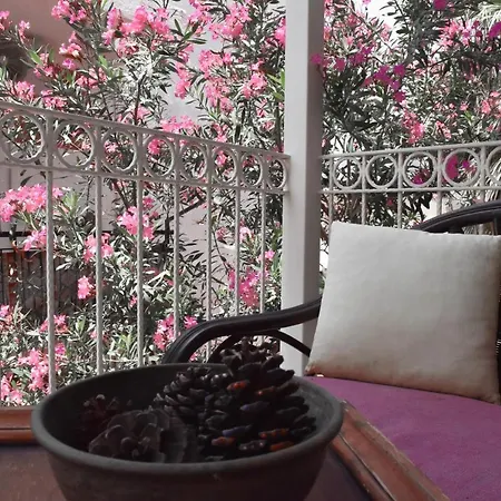 Bed & Breakfast Smyrna 3*