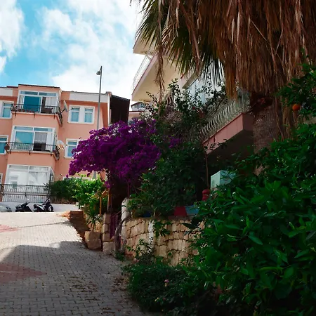 Bed & Breakfast Smyrna 3*